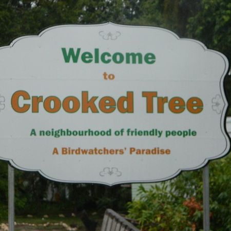 Becks Bed & Breakfast Crooked Tree Bagian luar foto