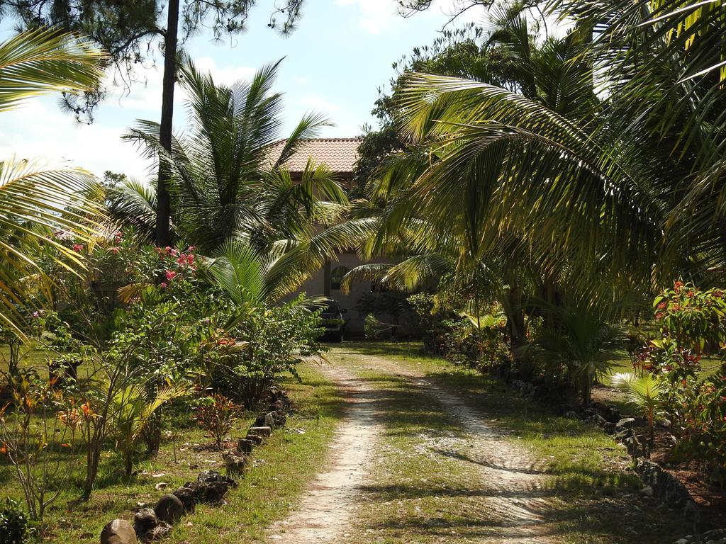 Becks Bed & Breakfast Crooked Tree Bagian luar foto