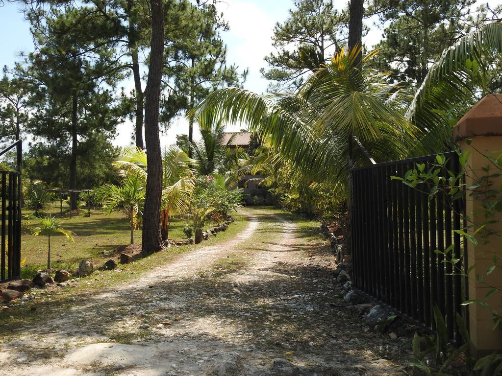 Becks Bed & Breakfast Crooked Tree Bagian luar foto