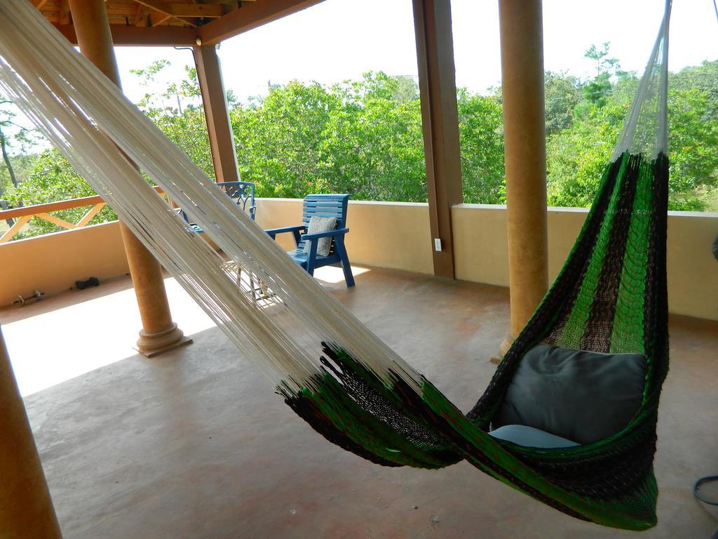 Becks Bed & Breakfast Crooked Tree Bagian luar foto