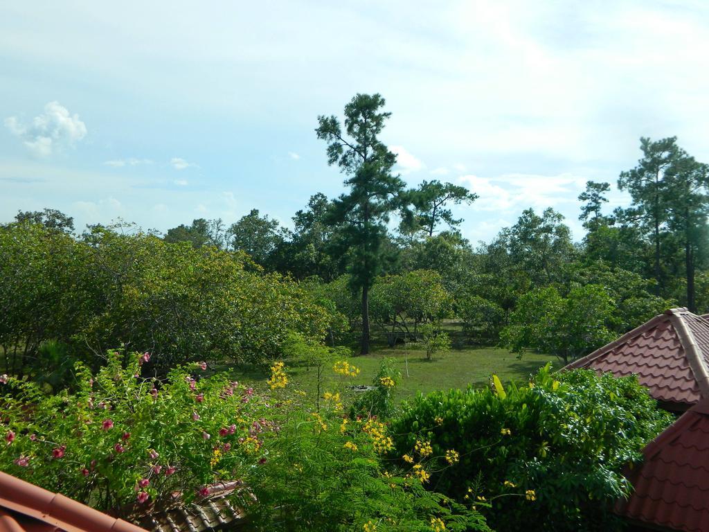 Becks Bed & Breakfast Crooked Tree Bagian luar foto