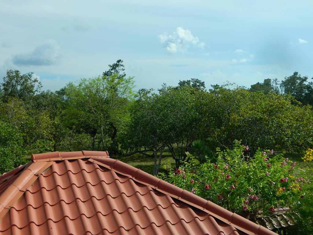Becks Bed & Breakfast Crooked Tree Bagian luar foto