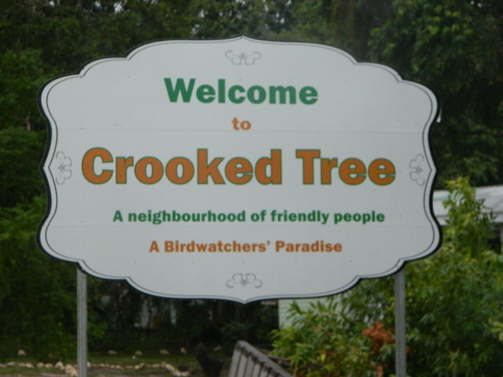 Becks Bed & Breakfast Crooked Tree Bagian luar foto